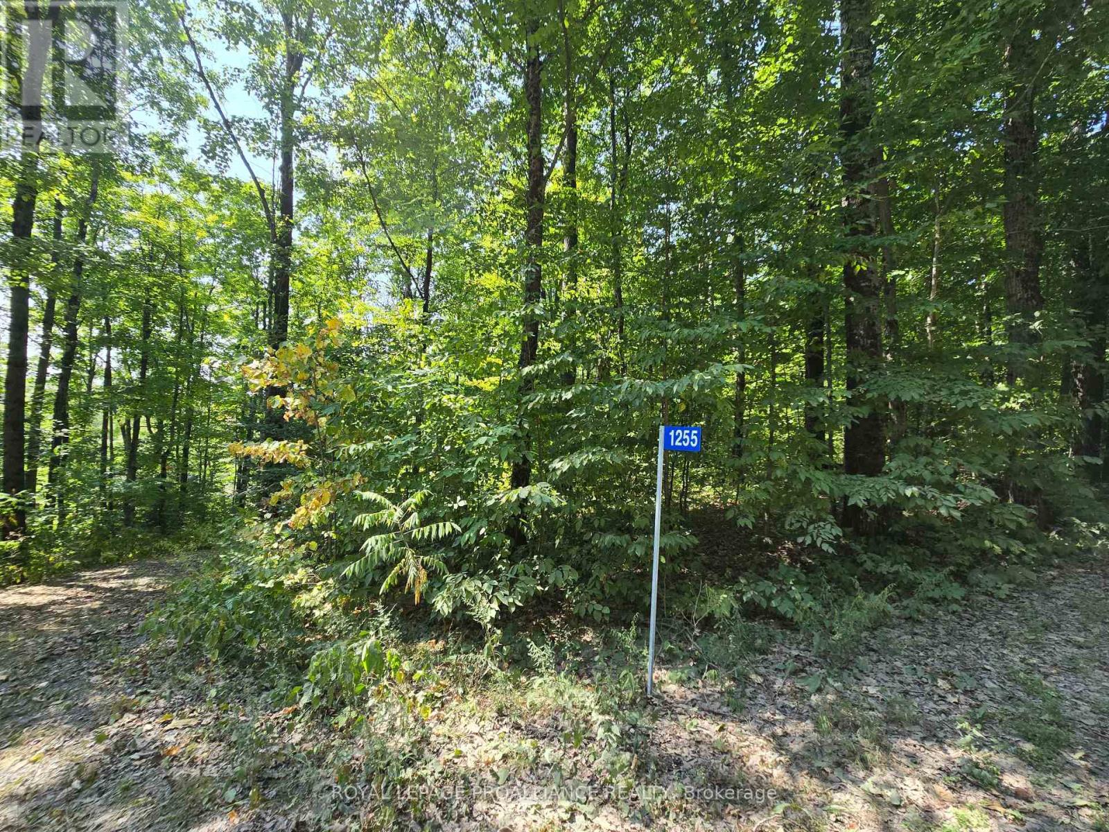 1255 Blue Heron Ridge, Central Frontenac, Ontario  K0H 1B0 - Photo 26 - X12387175