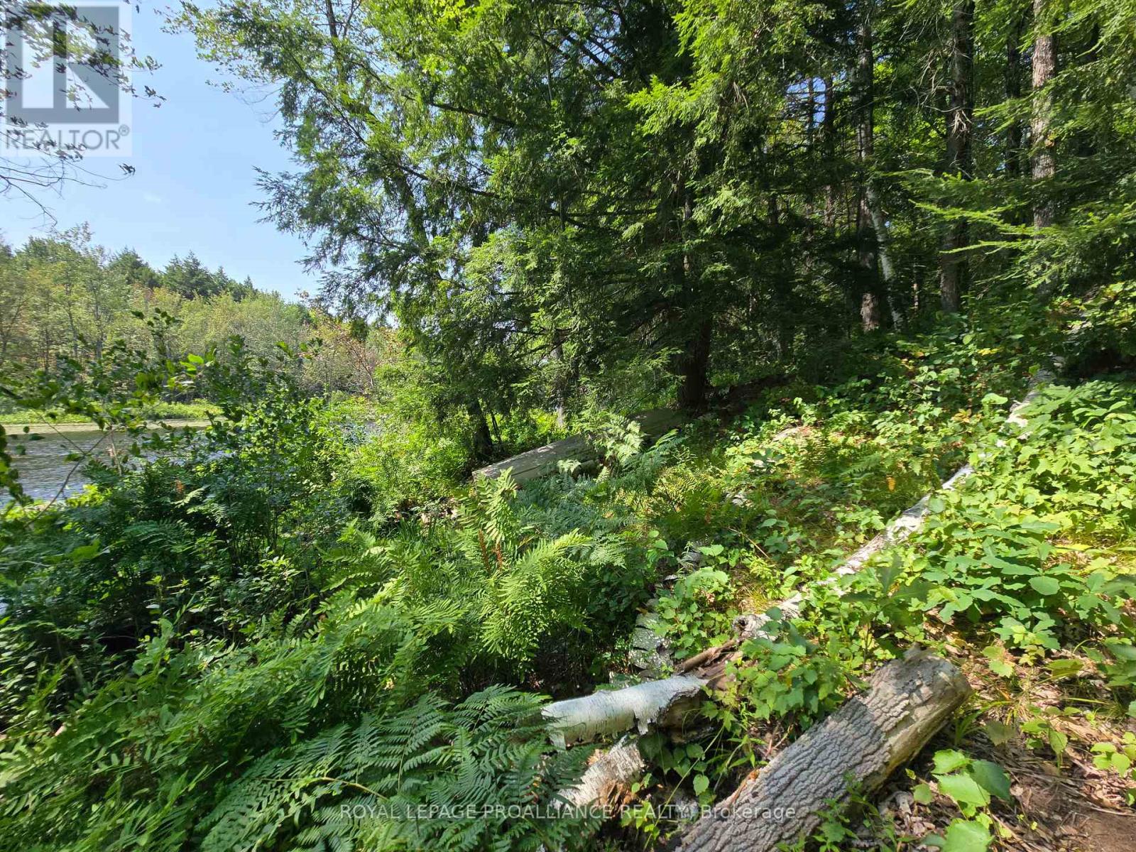 1255 Blue Heron Ridge, Central Frontenac, Ontario  K0H 1B0 - Photo 9 - X12387175