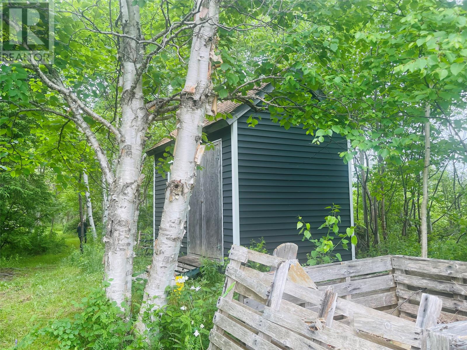 26 Main Road, Hare Bay, Newfoundland & Labrador  A0G 2P0 - Photo 17 - 1287433