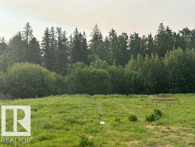 #9 26409 Twp Rd 532a, Rural Parkland County, Alberta  T7X 3H5 - Photo 21 - E4440420