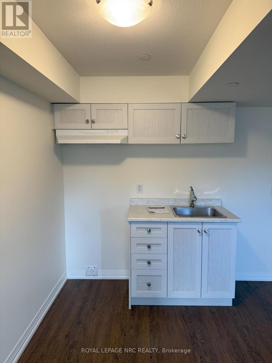 Basement - 397 Garrison Road, Fort Erie, Ontario  L2A 1N1 - Photo 9 - X12388349