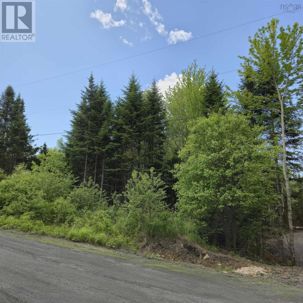 Lot 23-3 Chesley Road, Barss Corner, Nova Scotia  B0R 1E0 - Photo 4 - 202513069