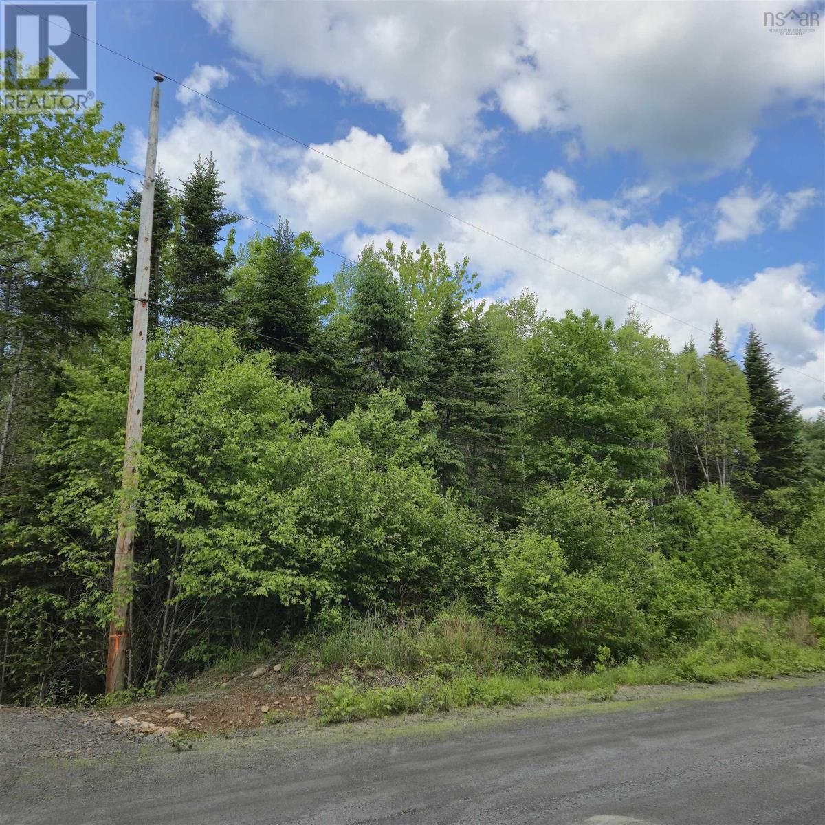 Lot 23-3 Chesley Road, Barss Corner, Nova Scotia  B0R 1E0 - Photo 3 - 202513069