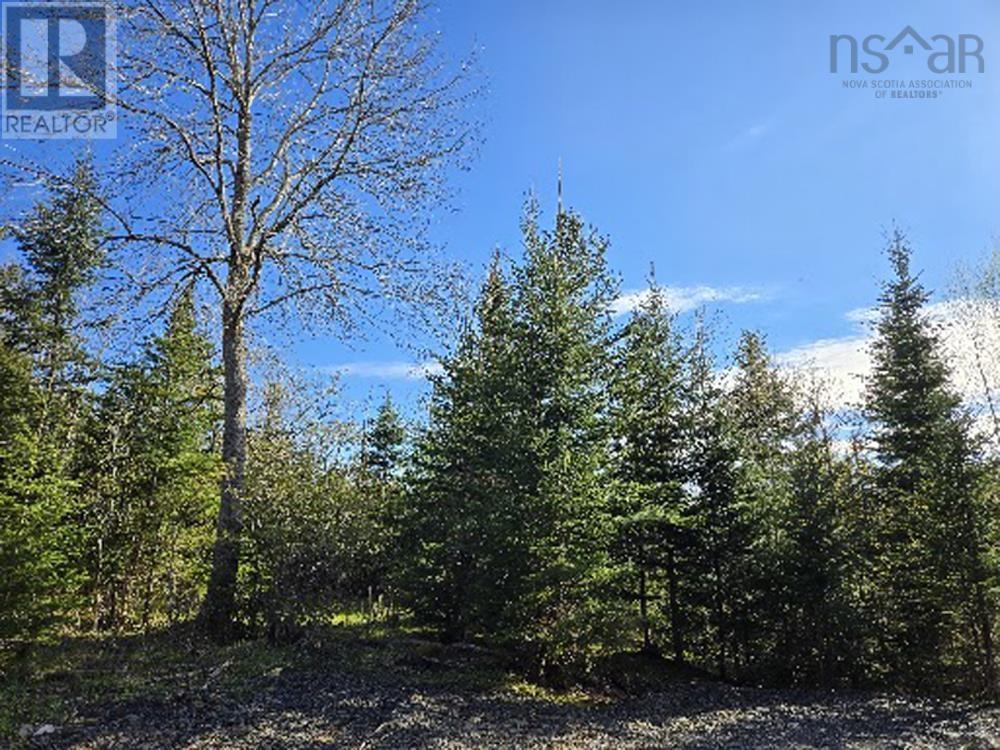 Lot 23-3 Chesley Road, Barss Corner, Nova Scotia  B0R 1E0 - Photo 7 - 202513069
