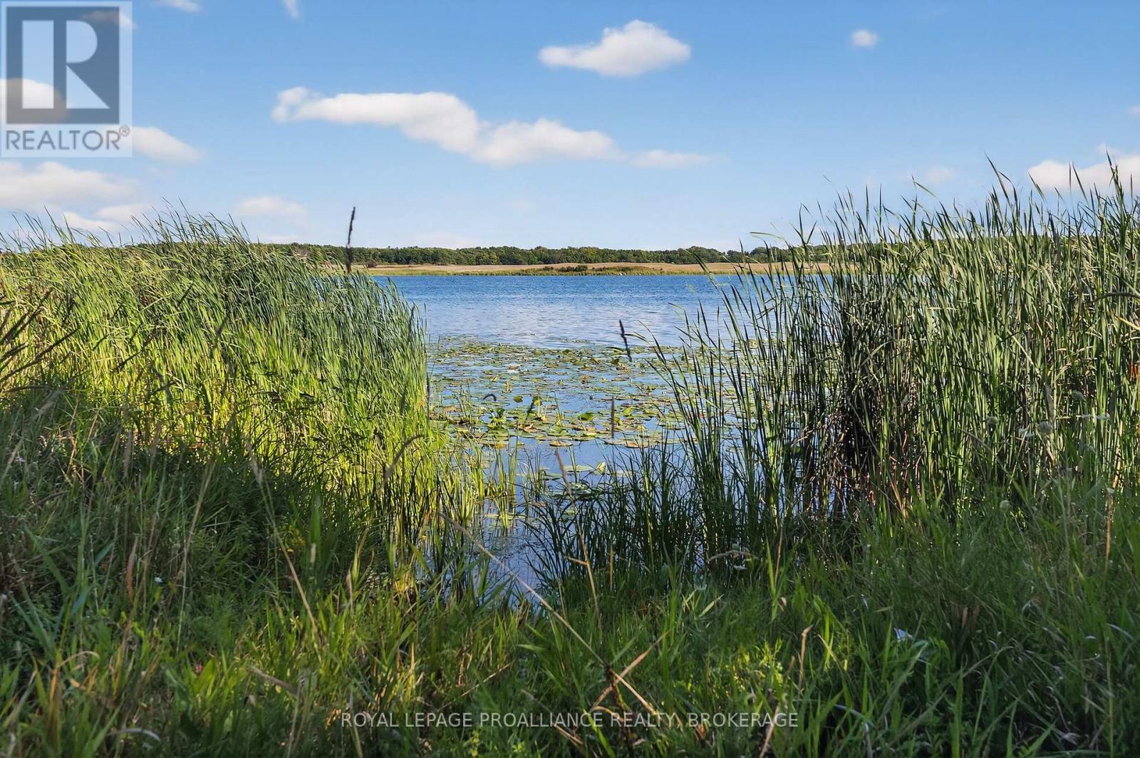 225 Johnson Bay Lane, Frontenac Islands, Ontario  K7G 2V6 - Photo 38 - X12388567