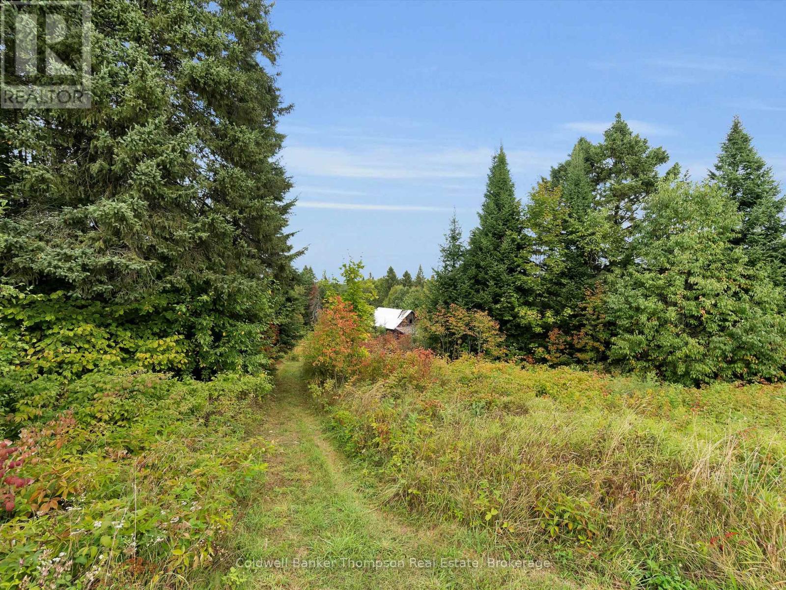 1859 Starratt Road, Ryerson, Ontario  P0A 1C0 - Photo 26 - X12388616
