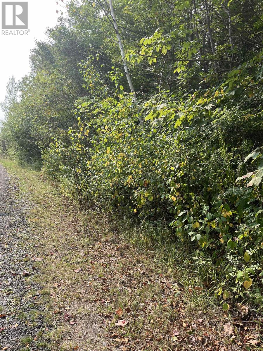 Lot 5 Granville Road, Karsdale, Nova Scotia  B0S 1A0 - Photo 14 - 202522684