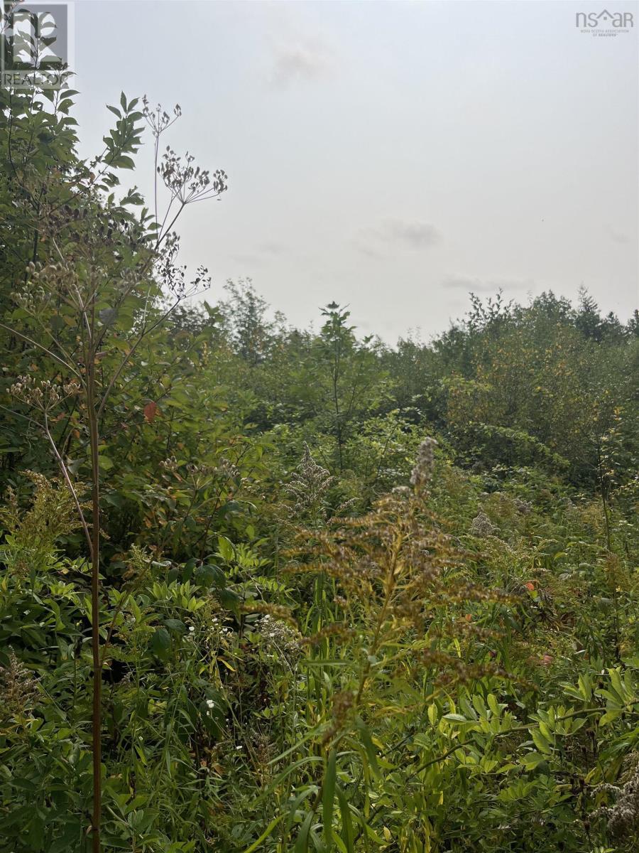 Lot 5 Granville Road, Karsdale, Nova Scotia