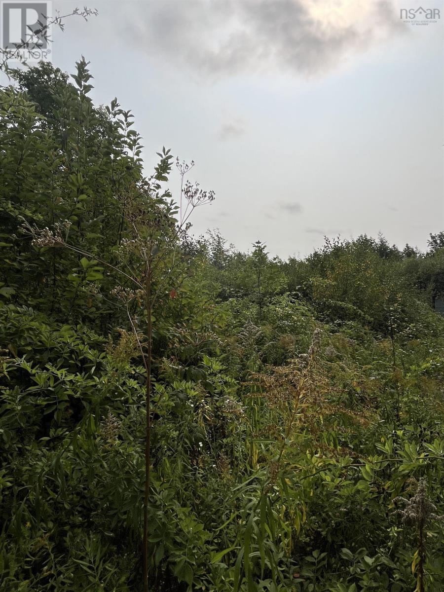 Lot 5 Granville Road, Karsdale, Nova Scotia  B0S 1A0 - Photo 2 - 202522684