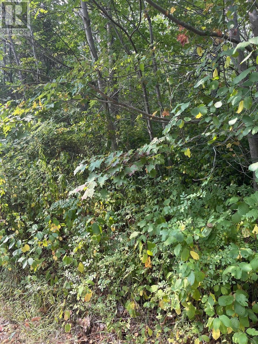 Lot 5 Granville Road, Karsdale, Nova Scotia  B0S 1A0 - Photo 13 - 202522684