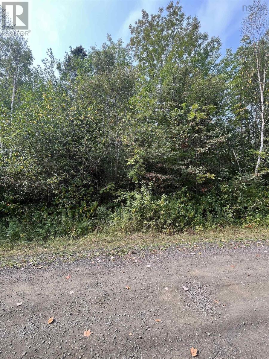 Lot 5 Granville Road, Karsdale, Nova Scotia  B0S 1A0 - Photo 9 - 202522684