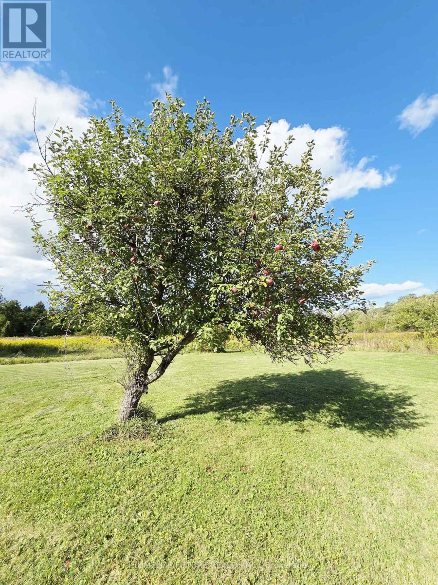 13984 County 29 Road, Trent Hills, Ontario  K0K 3K0 - Photo 27 - X12388379