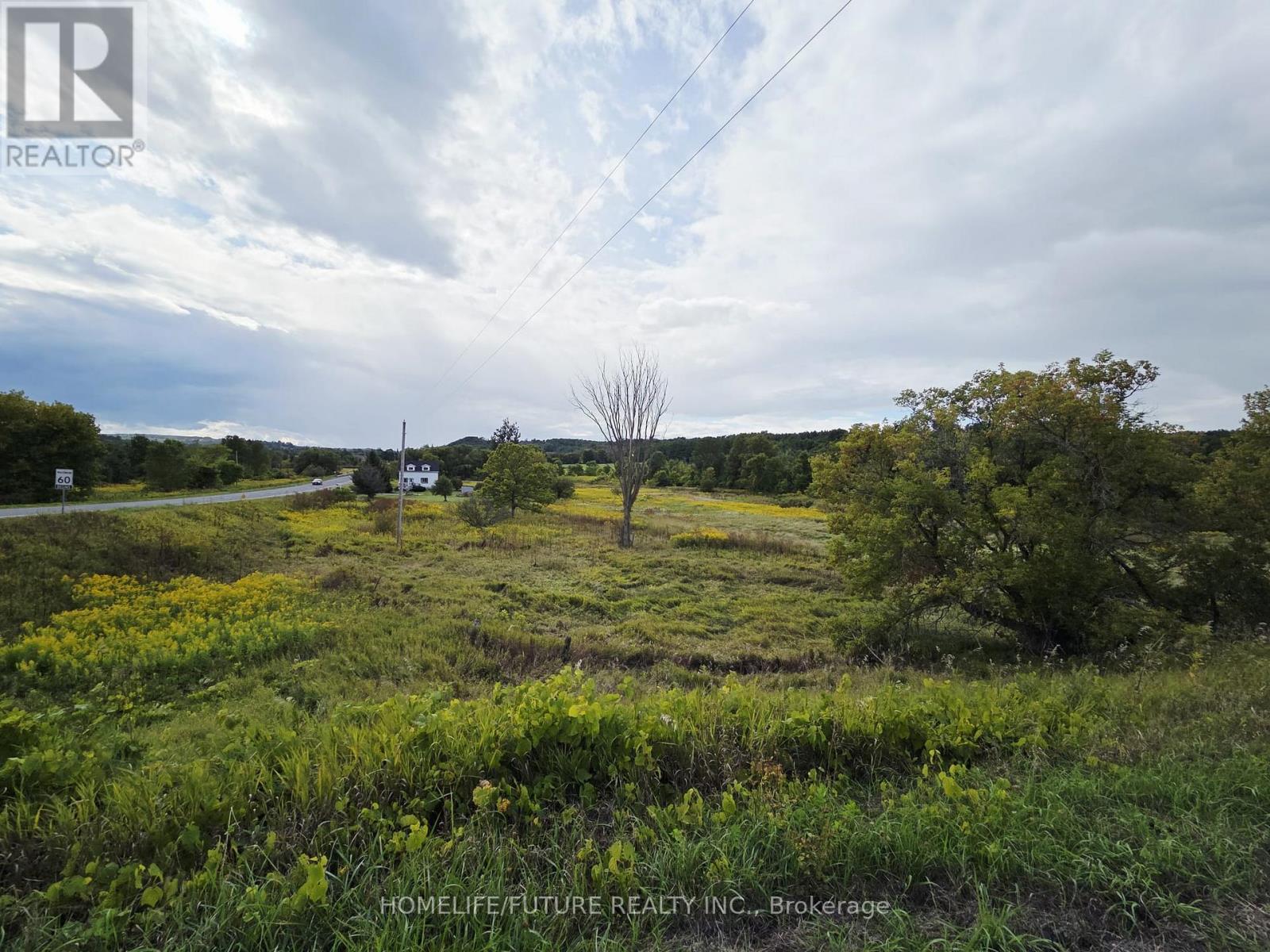 13984 County 29 Road, Trent Hills, Ontario  K0K 3K0 - Photo 28 - X12388379