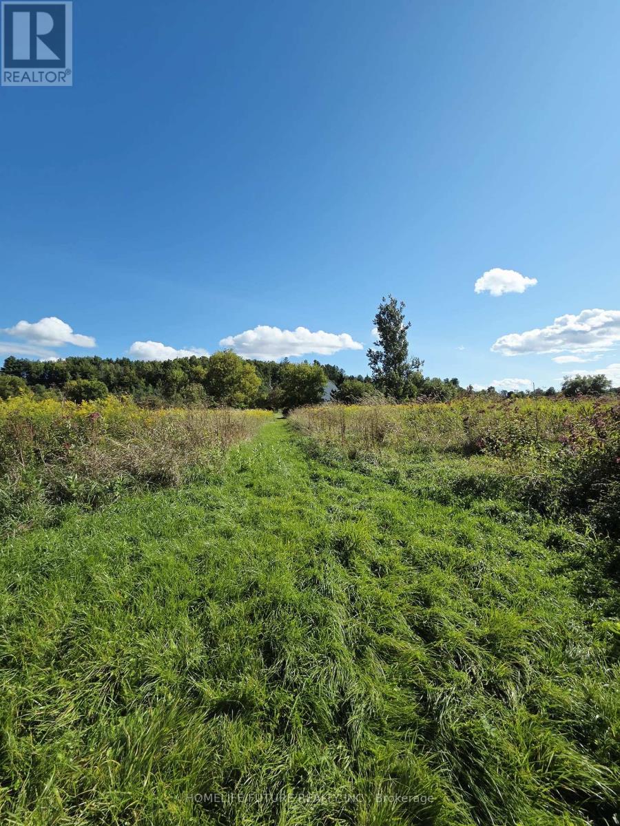 13984 County 29 Road, Trent Hills, Ontario  K0K 3K0 - Photo 29 - X12388379