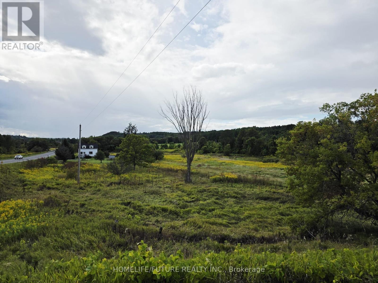 13984 County 29 Road, Trent Hills, Ontario  K0K 3K0 - Photo 31 - X12388379