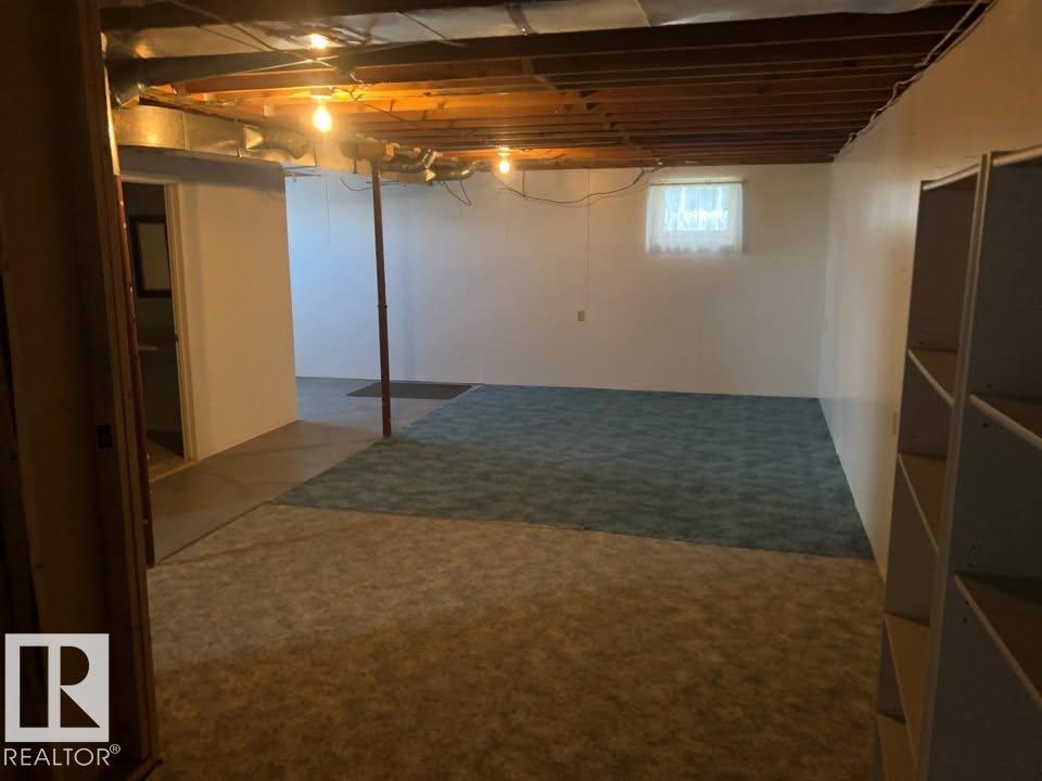 4619 43 St, Mayerthorpe, Alberta  T0E 1N0 - Photo 8 - E4456717