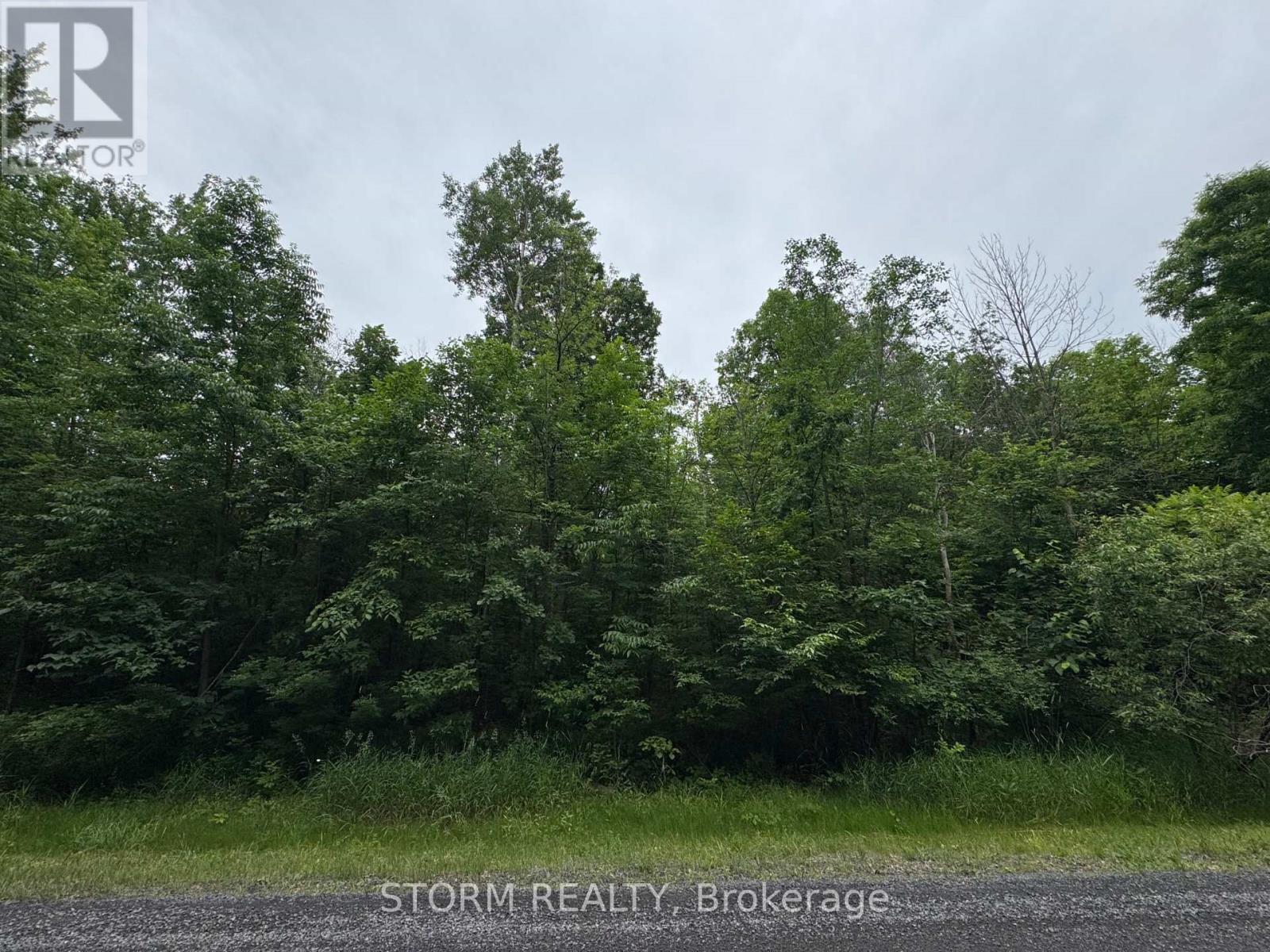 Con 8 Bingley Road, South Stormont, Ontario  K0C 1B0 - Photo 2 - X12388878