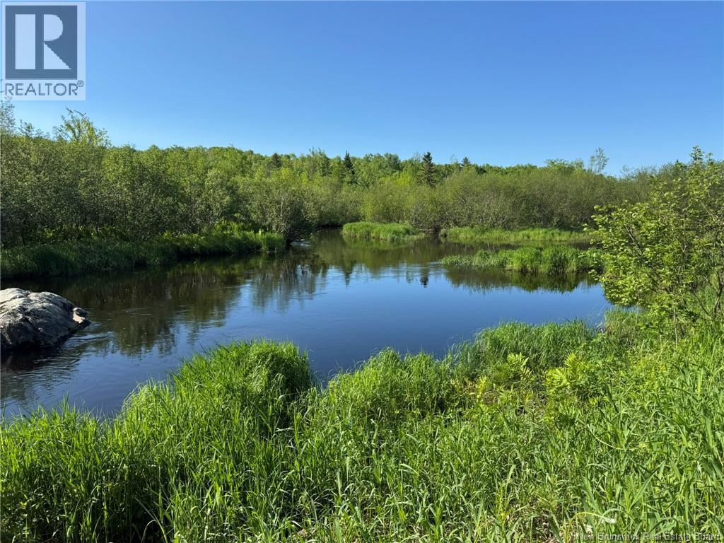 0 Monument Road, Kirkland, New Brunswick  A0A 0A0 - Photo 22 - NB126299