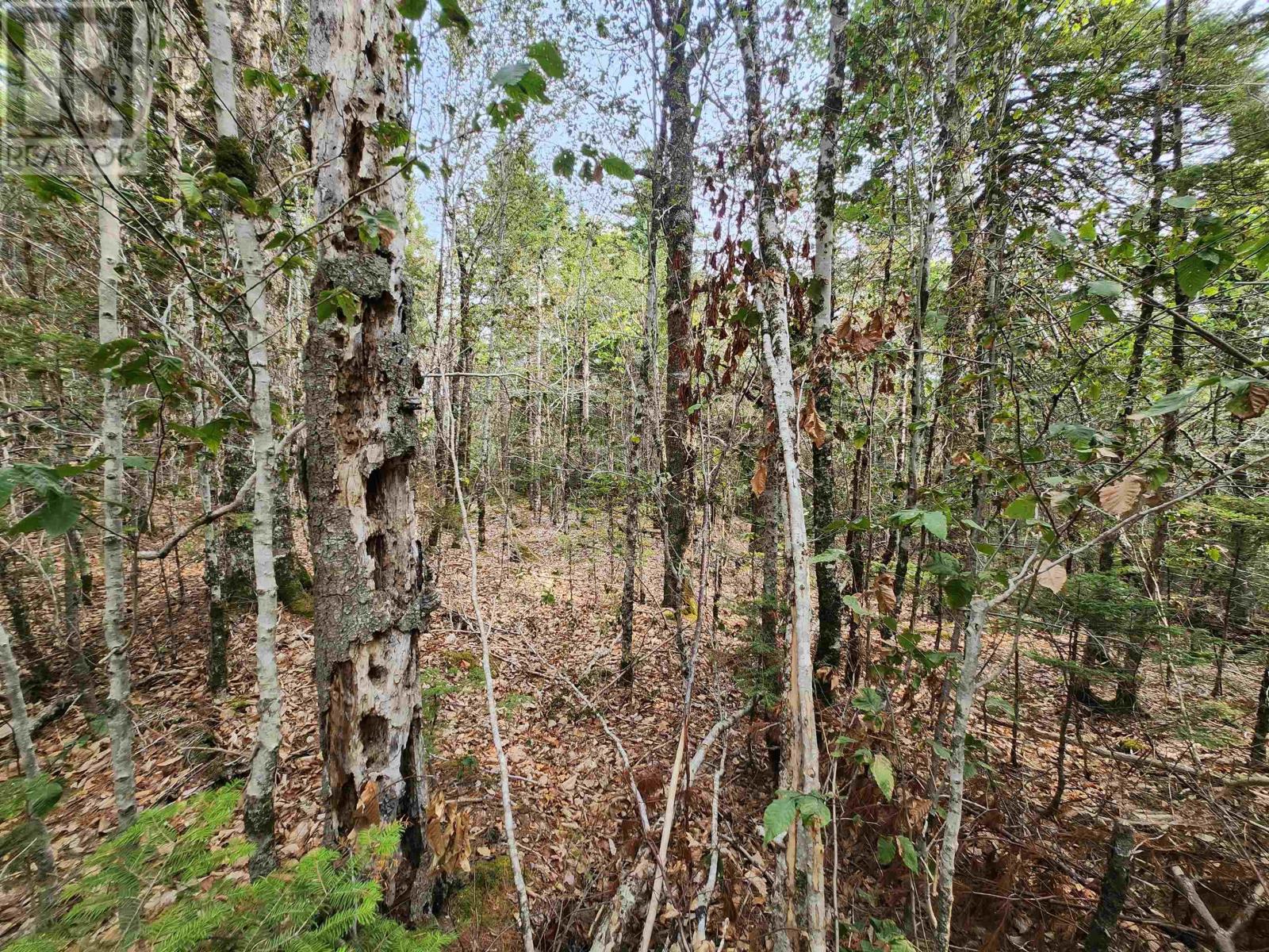 Lot 69 Turner Point Crossover, Walden, Nova Scotia  B0J 2E0 - Photo 4 - 202522697