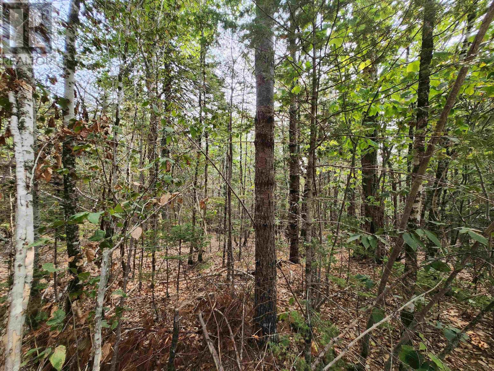 Lot 69 Turner Point Crossover, Walden, Nova Scotia  B0J 2E0 - Photo 5 - 202522697