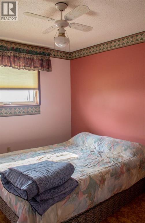 160078 Township Road 304, Craigmyle, Alberta  T0J 1P0 - Photo 15 - A2252965