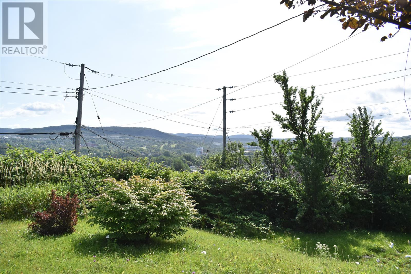 6 Gibbons Avenue, Corner Brook, Newfoundland & Labrador  A2H 4L2 - Photo 4 - 1288850