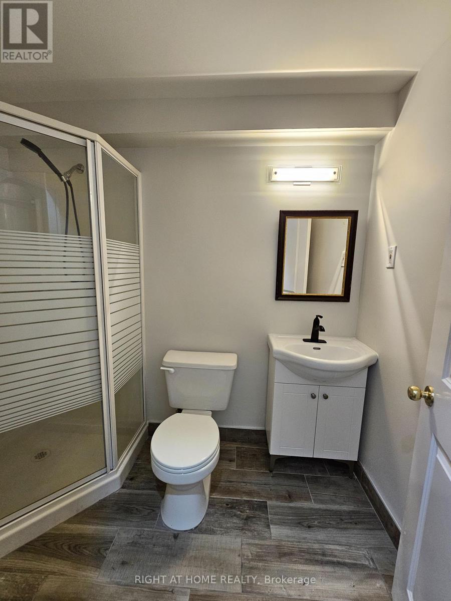 19 Greenfield Crescent, Whitby, Ontario  L1N 7G2 - Photo 28 - E12388914