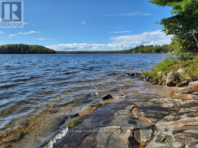 2193 Fern Glen Road, Mcmurrich/monteith, Ontario  P0A 1J0 - Photo 1 - X12388725