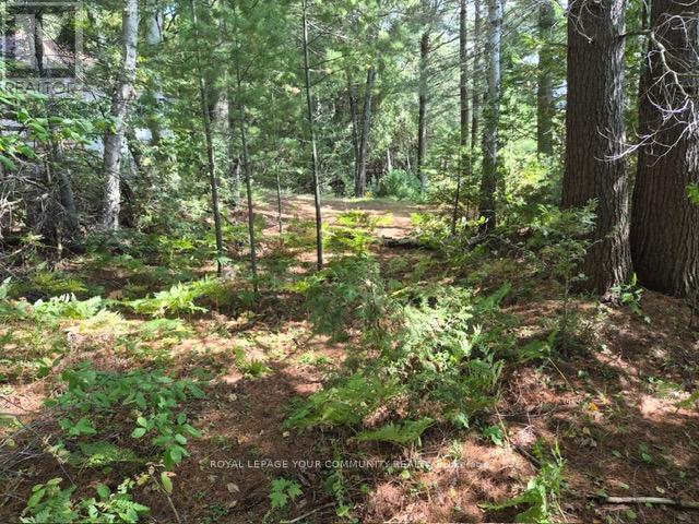 2193 Fern Glen Road, Mcmurrich/monteith, Ontario  P0A 1J0 - Photo 10 - X12388725