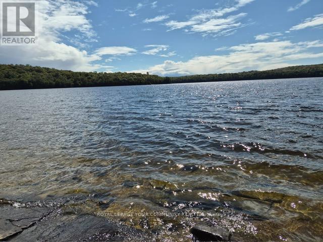 2193 Fern Glen Road, Mcmurrich/monteith, Ontario  P0A 1J0 - Photo 2 - X12388725