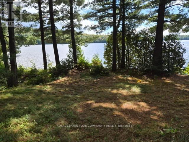 2193 Fern Glen Road, Mcmurrich/monteith, Ontario  P0A 1J0 - Photo 3 - X12388725