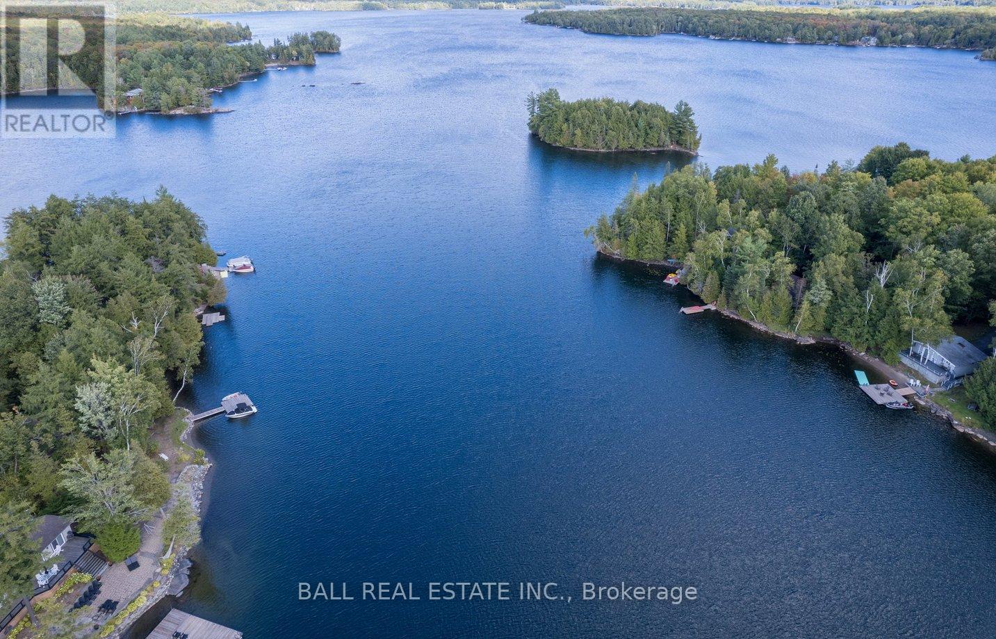 45 Hemlock Point Road, North Kawartha, Ontario  K0L 1A0 - Photo 23 - X12389129