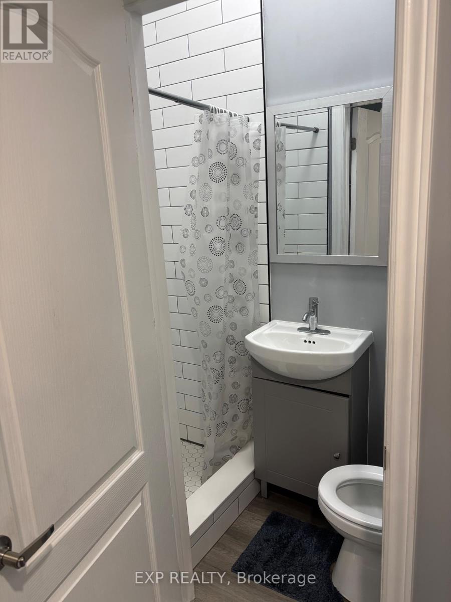 3 - 123 Macnab Street S, Hamilton, Ontario  L8P 3C2 - Photo 8 - X12388979