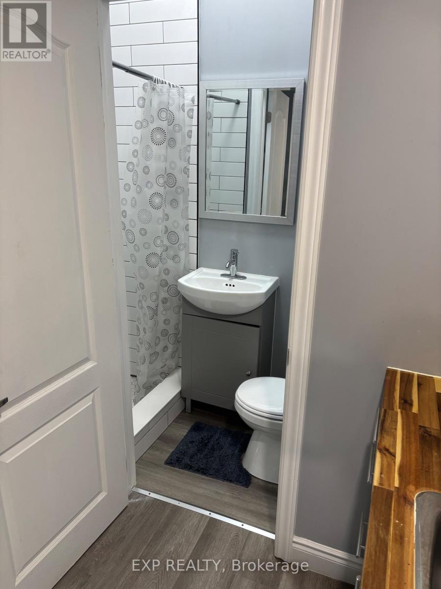 3 - 123 Macnab Street S, Hamilton, Ontario  L8P 3C2 - Photo 9 - X12388979