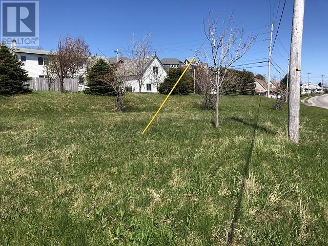 65 Ohio Drive, Stephenville, Newfoundland & Labrador  A2N 2W2 - Photo 6 - 1290135