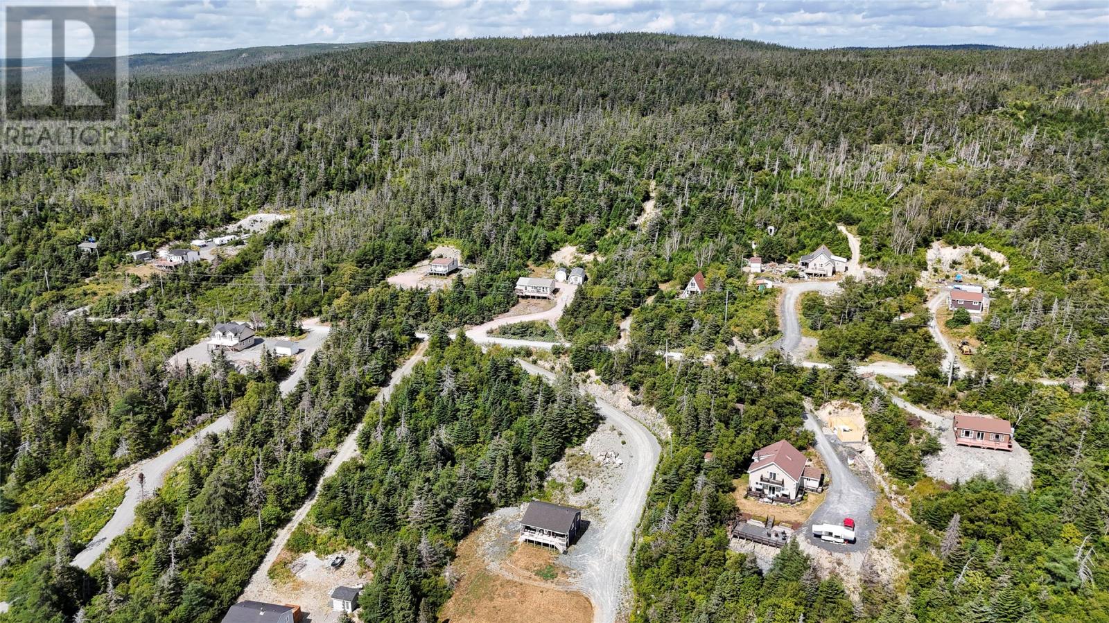 0 Track Road, Horse Chops, Newfoundland & Labrador  A0A 1P0 - Photo 11 - 1289308