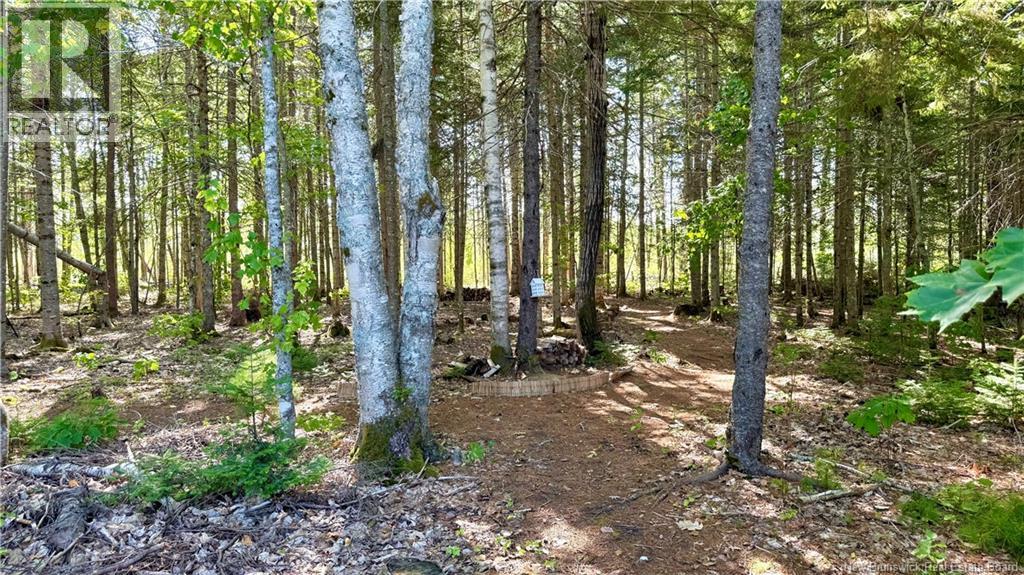 145 Route 480, Canisto, New Brunswick  E4X 1N7 - Photo 35 - NB126264