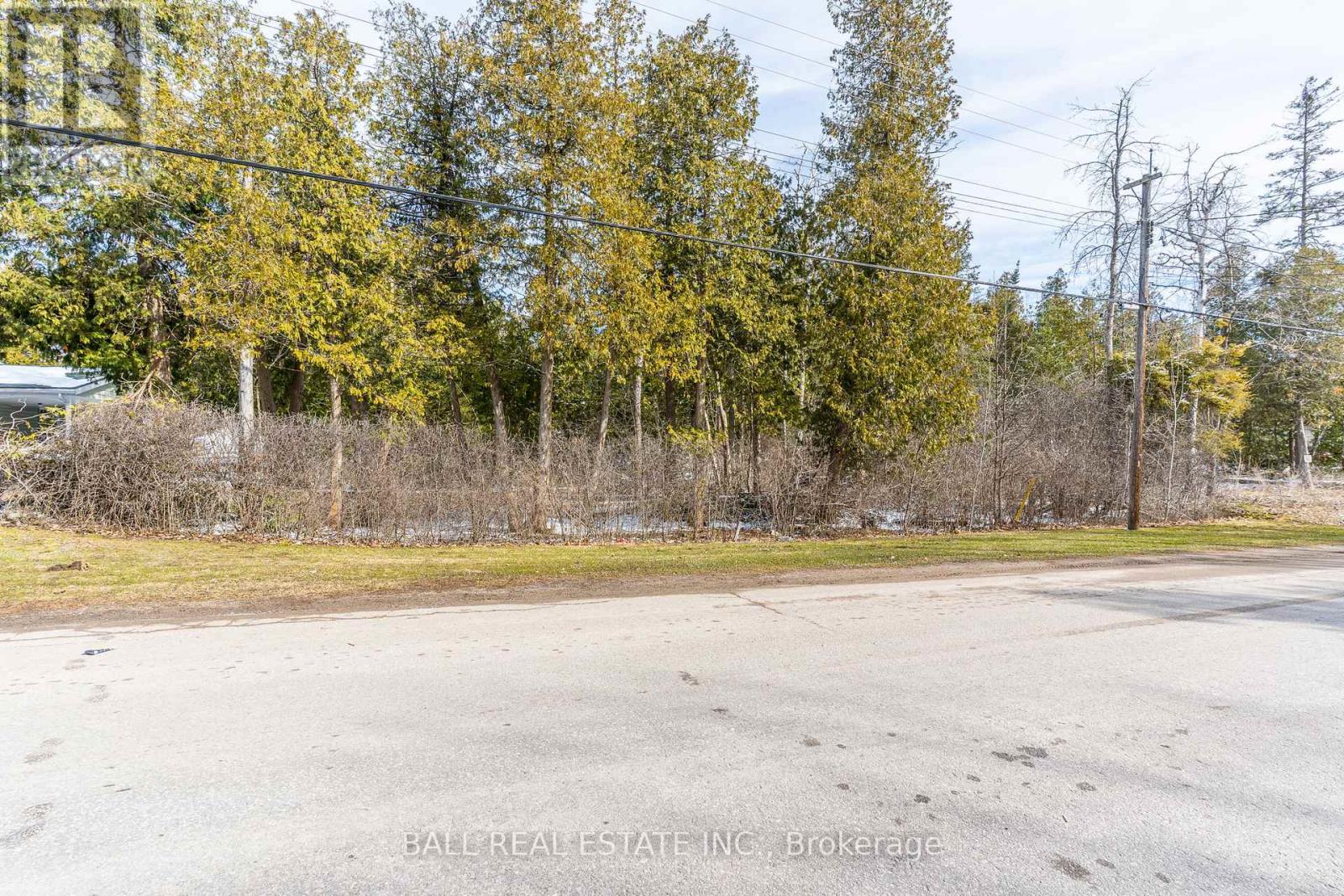 215 Front Street W, Kawartha Lakes, Ontario  K0M 1A0 - Photo 5 - X12081004