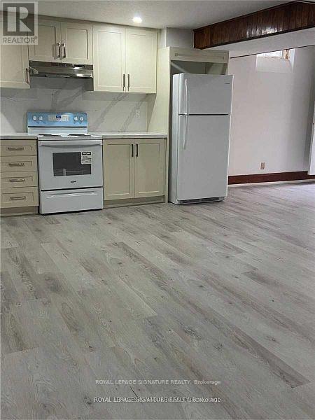 Basement - 6189 Osprey Boulevard, Mississauga, Ontario  L5N 5W2 - Photo 3 - W12389200