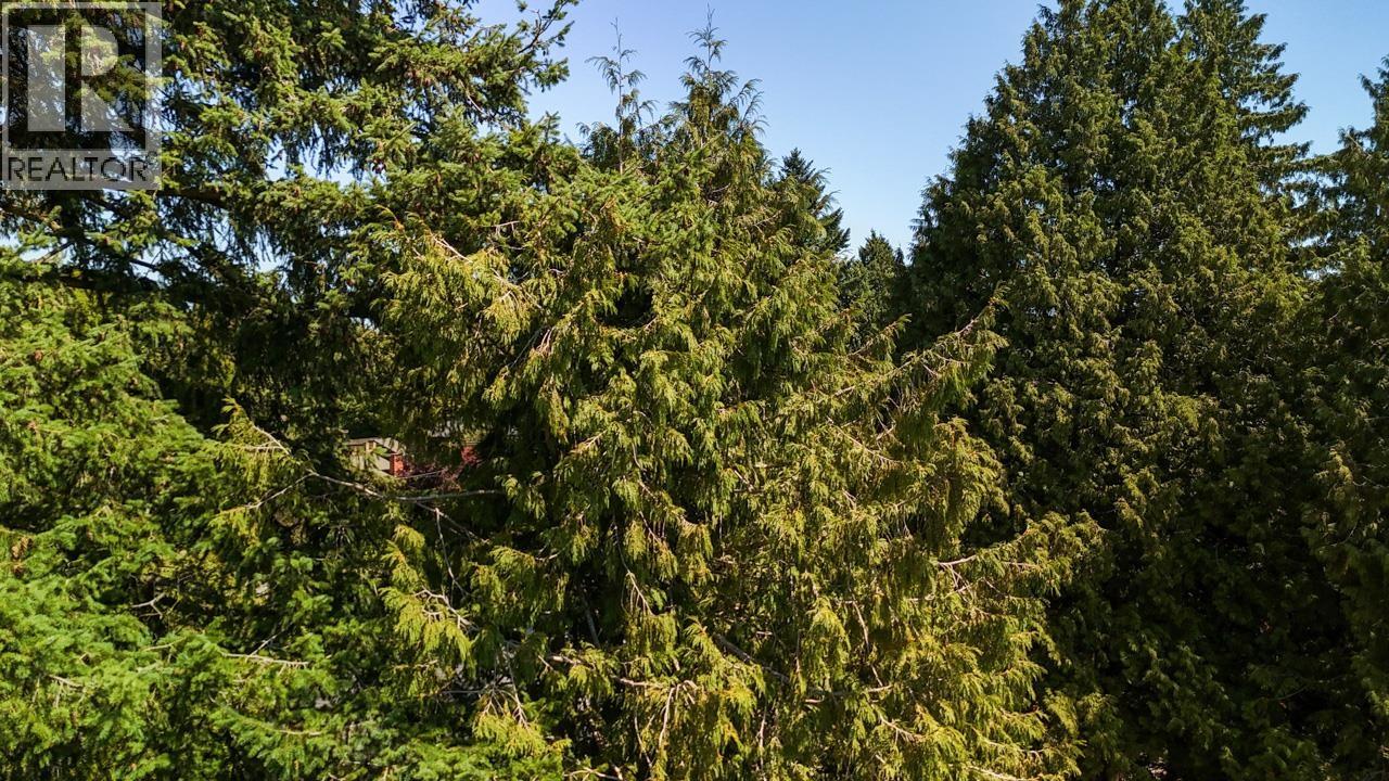 3060 W 45th Avenue, Vancouver, British Columbia  V6N 3M1 - Photo 14 - R3032985