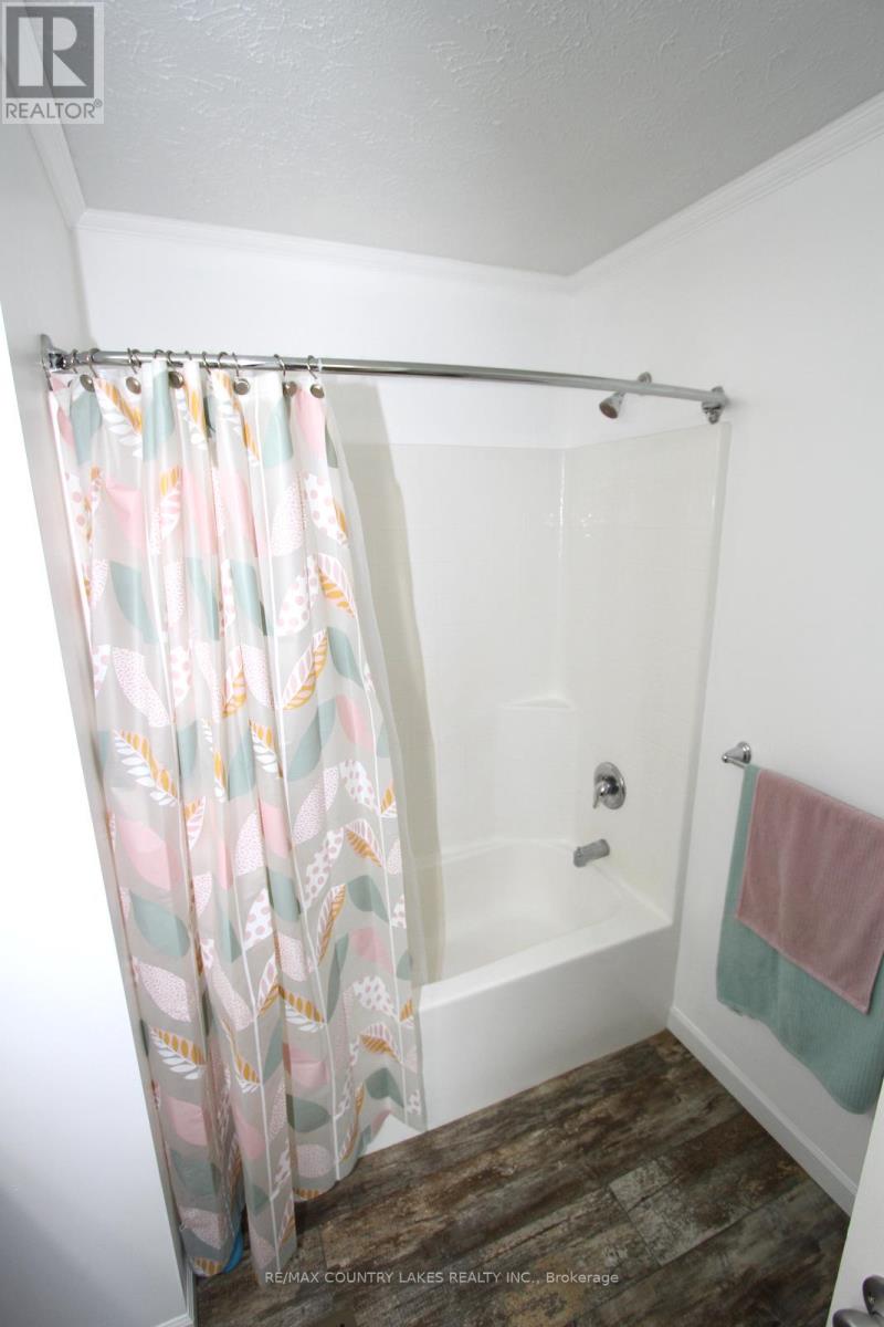 113 Stanley Road, Kawartha Lakes, Ontario  K0M 2T0 - Photo 21 - X12389396