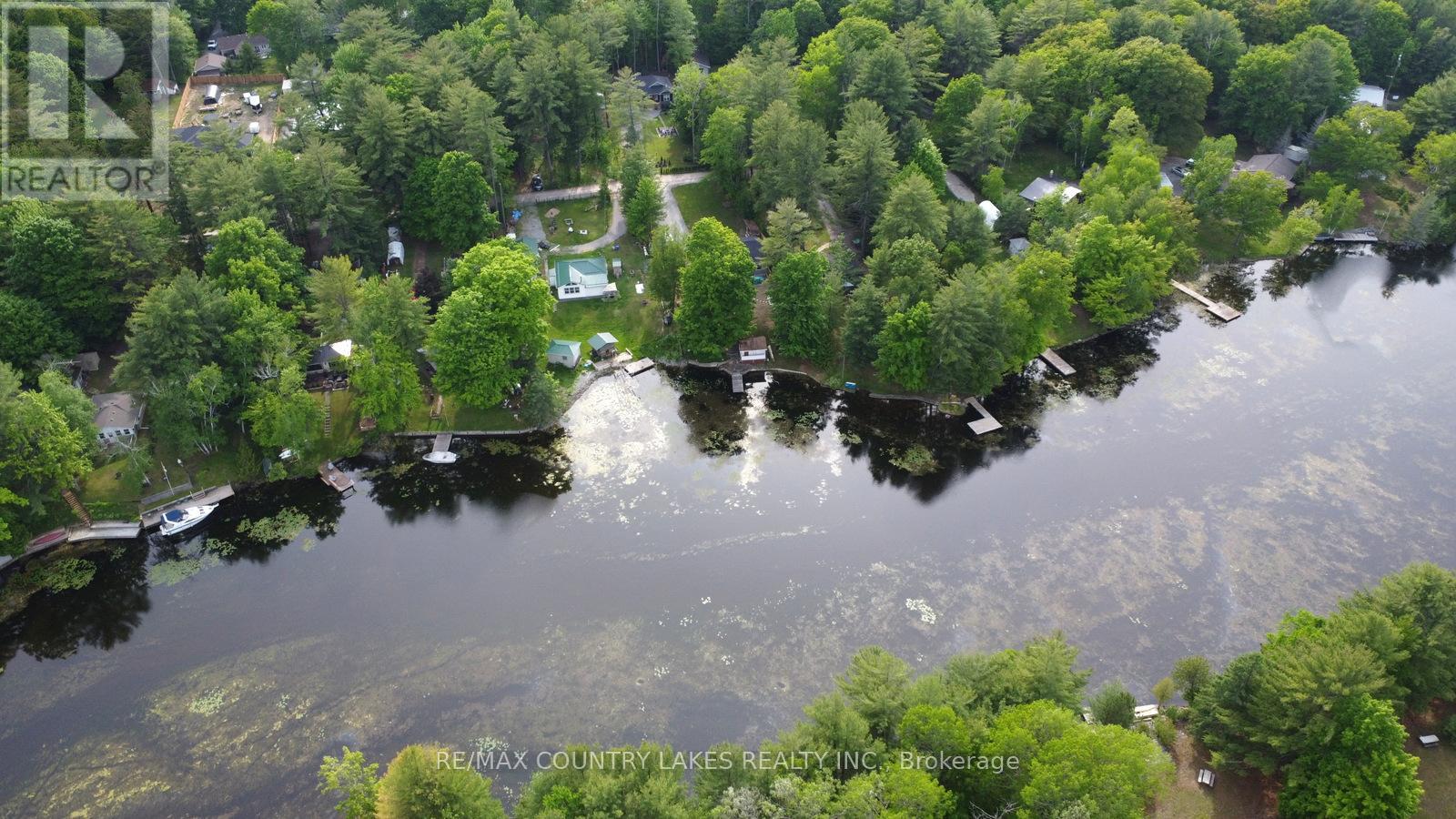 113 Stanley Road, Kawartha Lakes, Ontario  K0M 2T0 - Photo 45 - X12389396