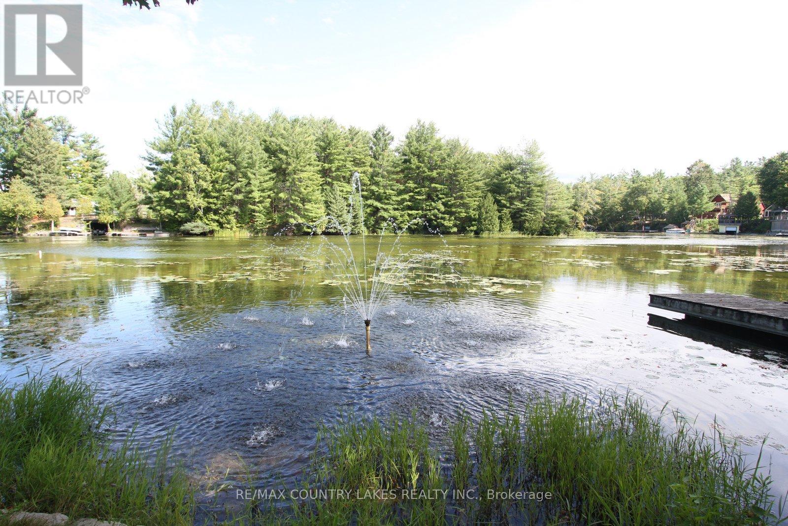 113 Stanley Road, Kawartha Lakes, Ontario  K0M 2T0 - Photo 46 - X12389396
