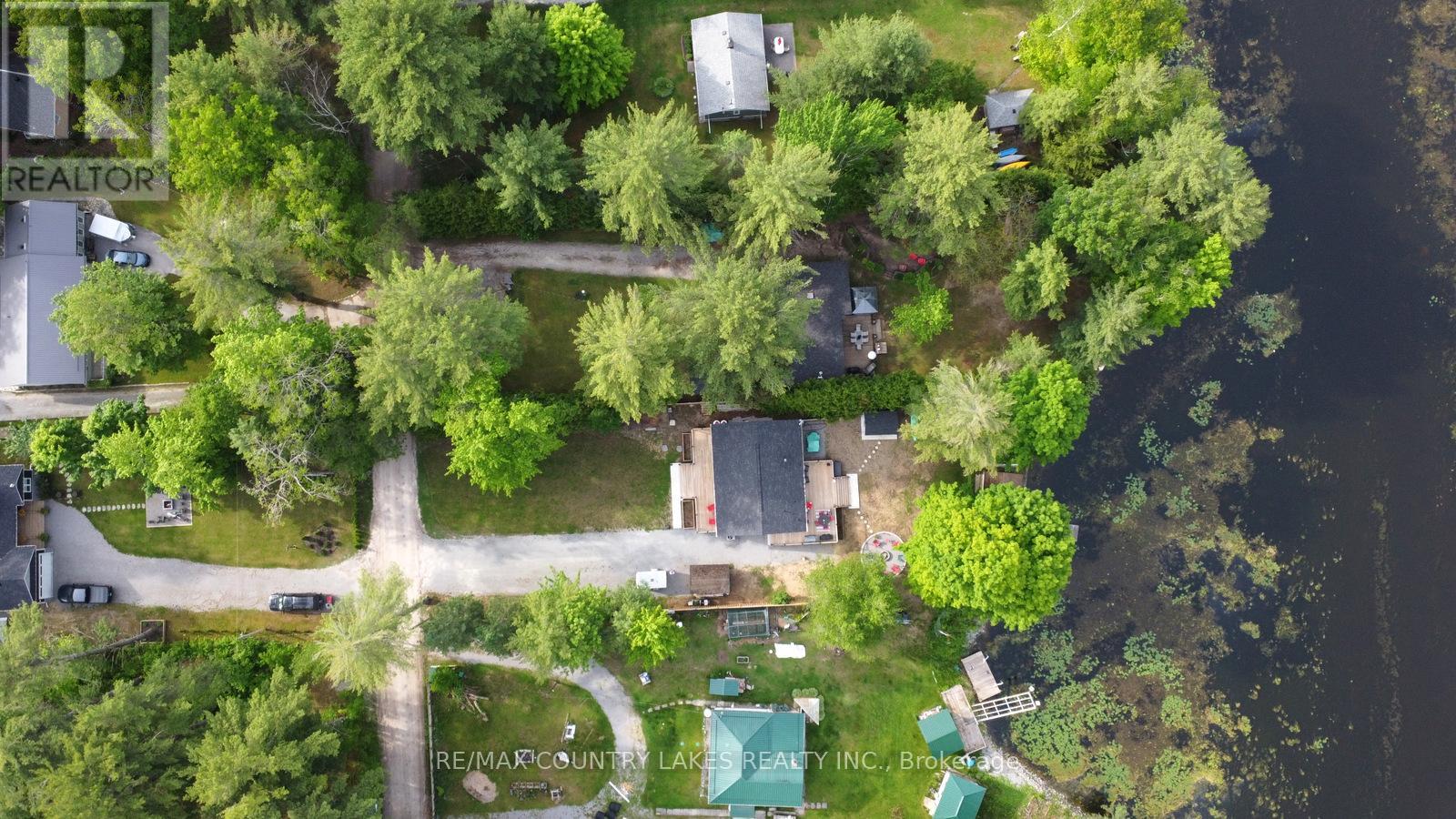 113 Stanley Road, Kawartha Lakes, Ontario  K0M 2T0 - Photo 5 - X12389396