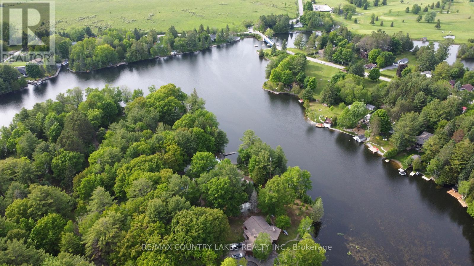 113 Stanley Road, Kawartha Lakes, Ontario  K0M 2T0 - Photo 6 - X12389396