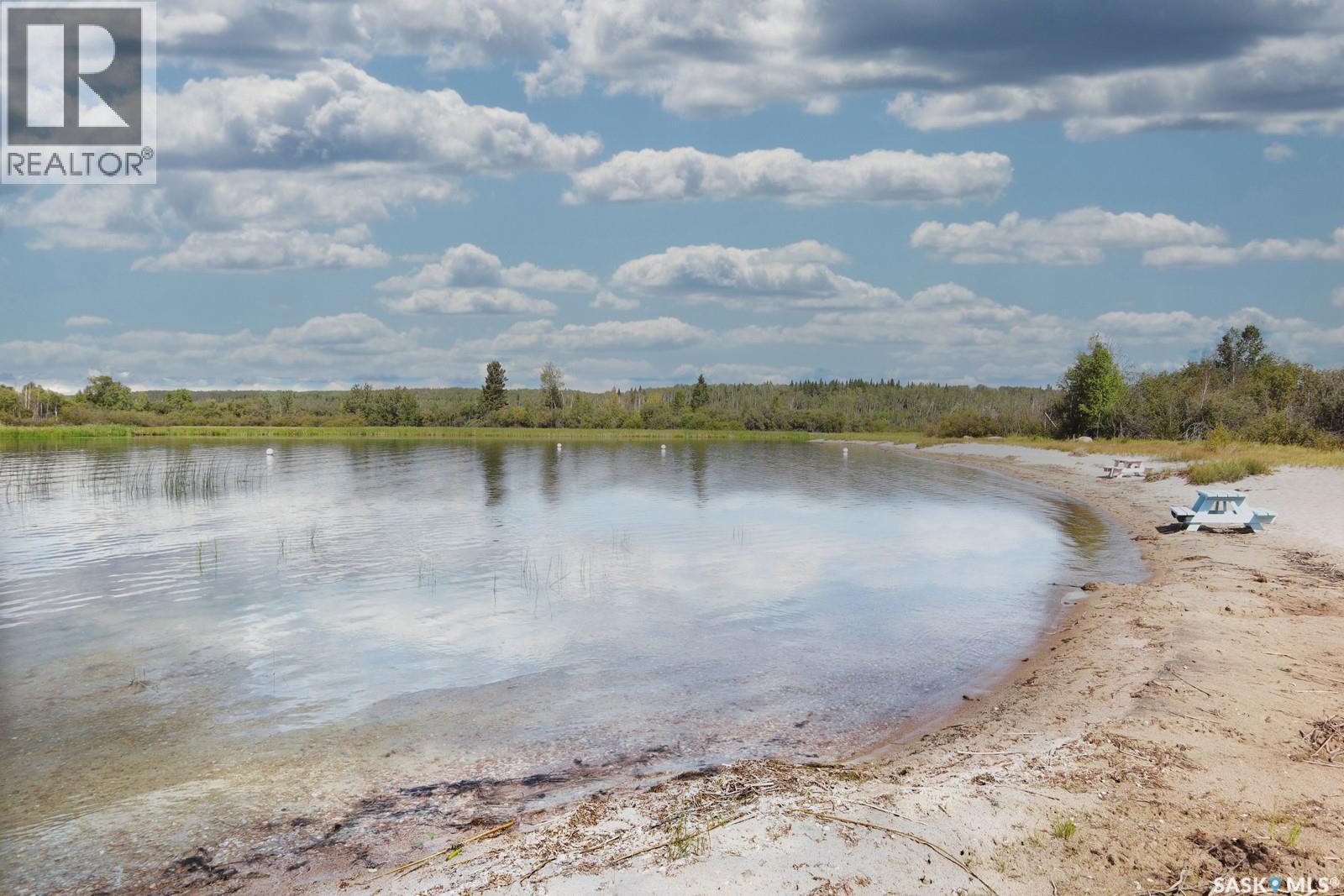 518 Lodge Pole Lane, Beaver River Rm No. 622, Saskatchewan  S0M 2K0 - Photo 6 - SK017787