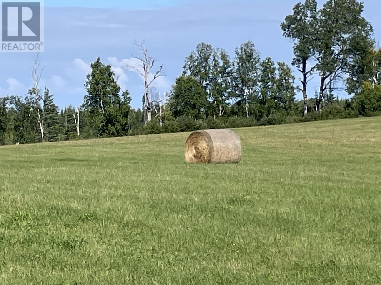 667 North Road, Upsala, Ontario  P0T 2Y0 - Photo 25 - TB252783