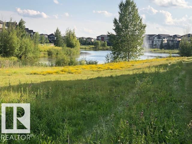 3512 Goodridge Ba Nw, Edmonton, Alberta  T5T 4C6 - Photo 43 - E4456775