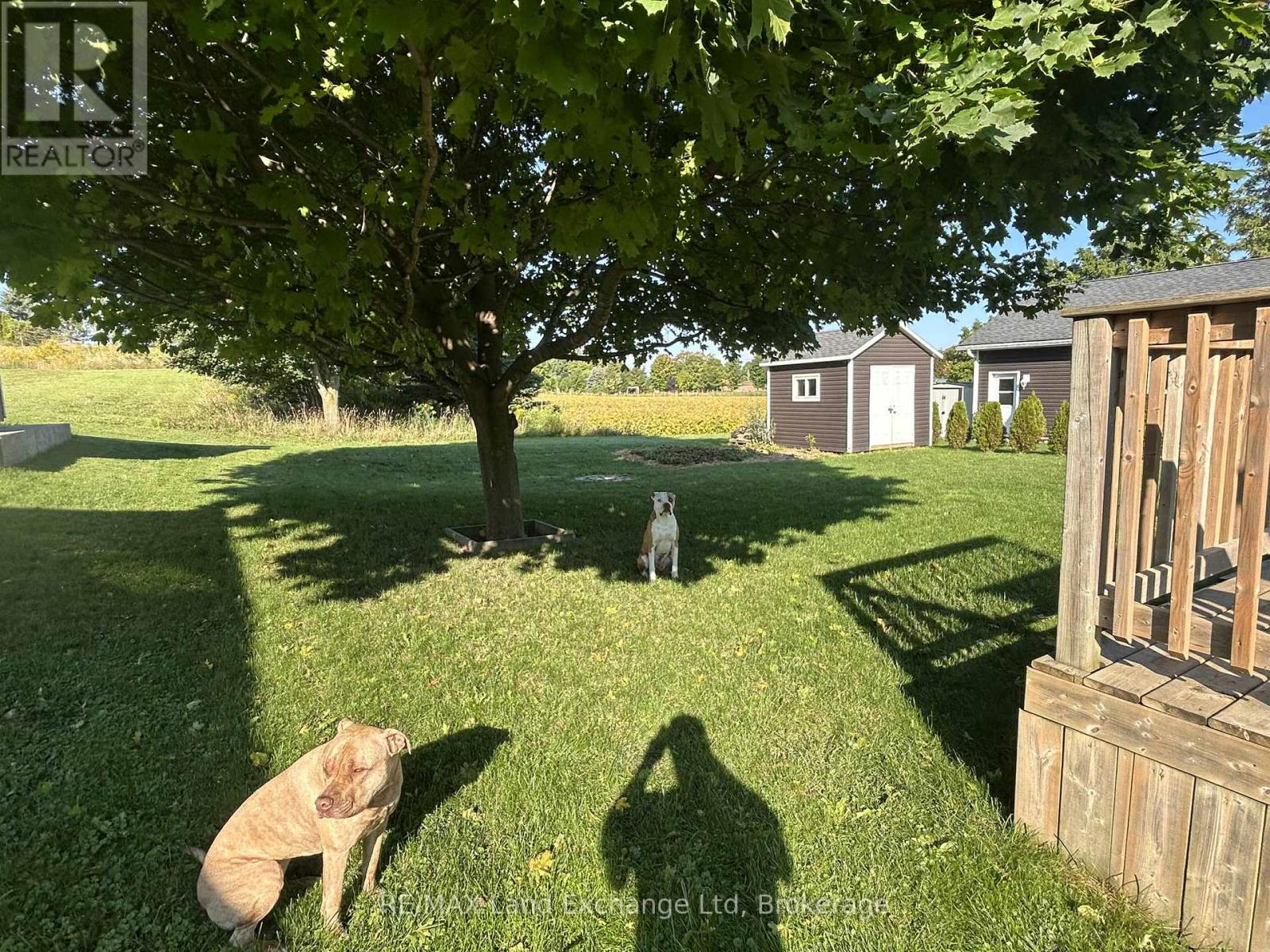 6 Janet Street S, South Bruce, Ontario  N0G 2S0 - Photo 29 - X12389754