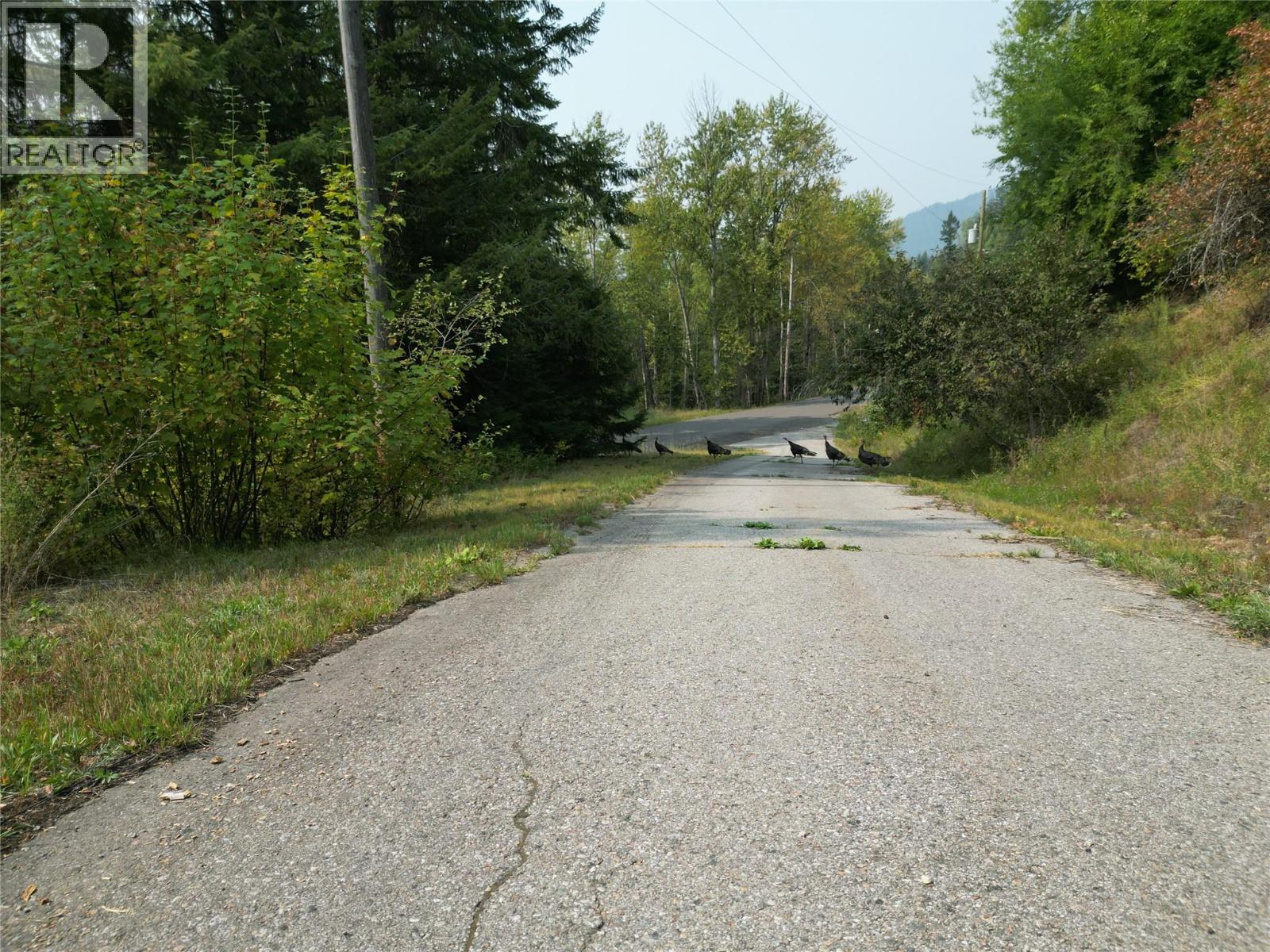 4363 Ross Spur Road, Ross Spur, British Columbia  V0G 1Z0 - Photo 18 - 10362059